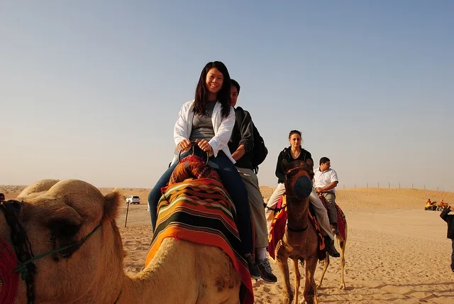 Camel Riding in Dubai